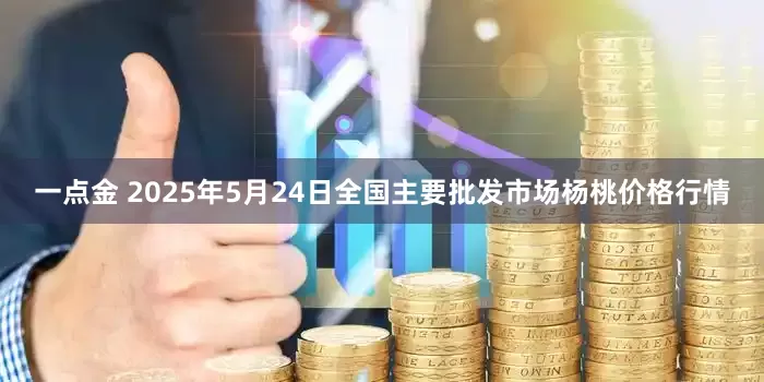 一点金 2025年5月24日全国主要批发市场杨桃价格行情