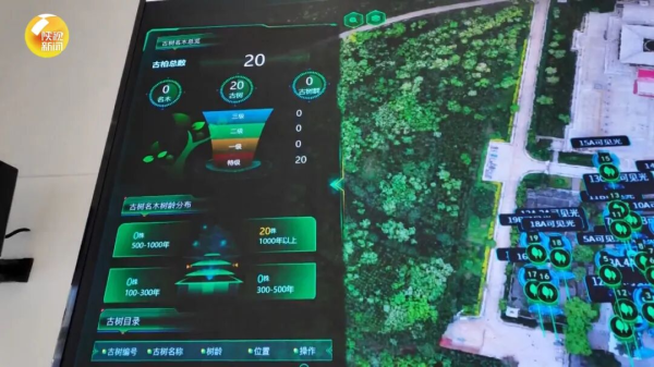 鼎茂策略 古老文明，正以数字化方式走向未来