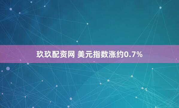 玖玖配资网 美元指数涨约0.7%
